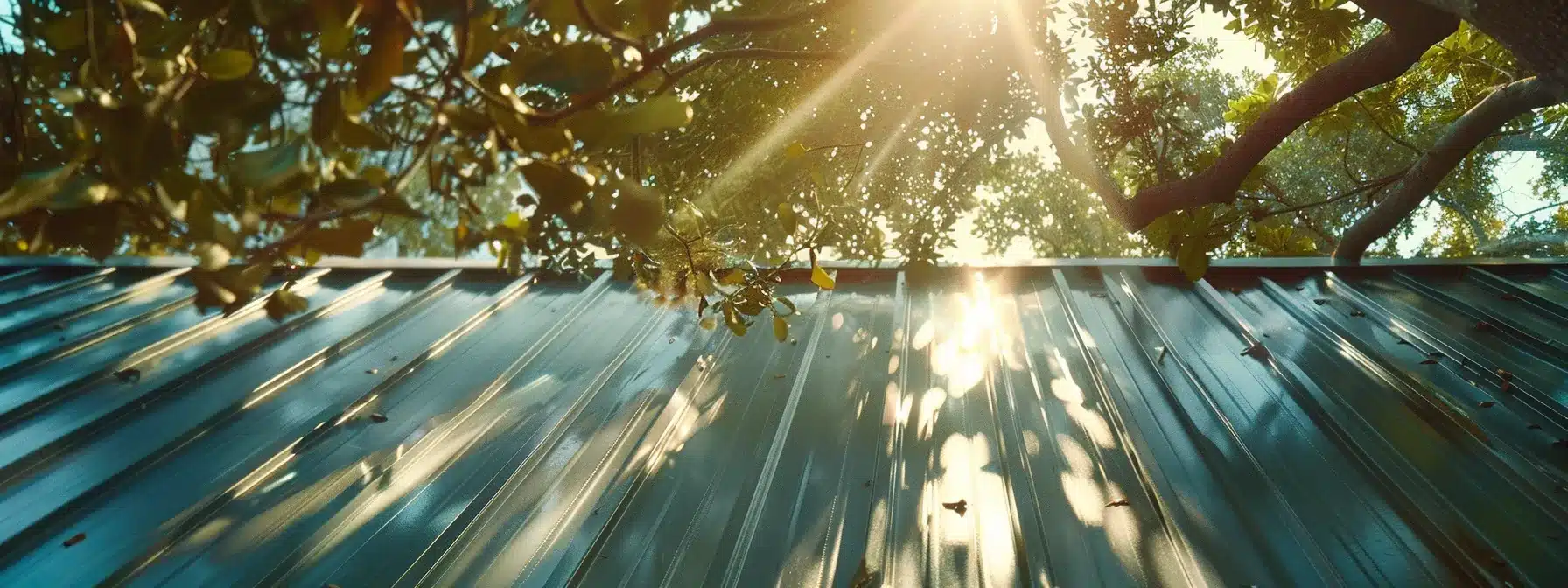 a professional inspecting and cleaning a shiny, weatherproof metal roof under the bright florida sun.